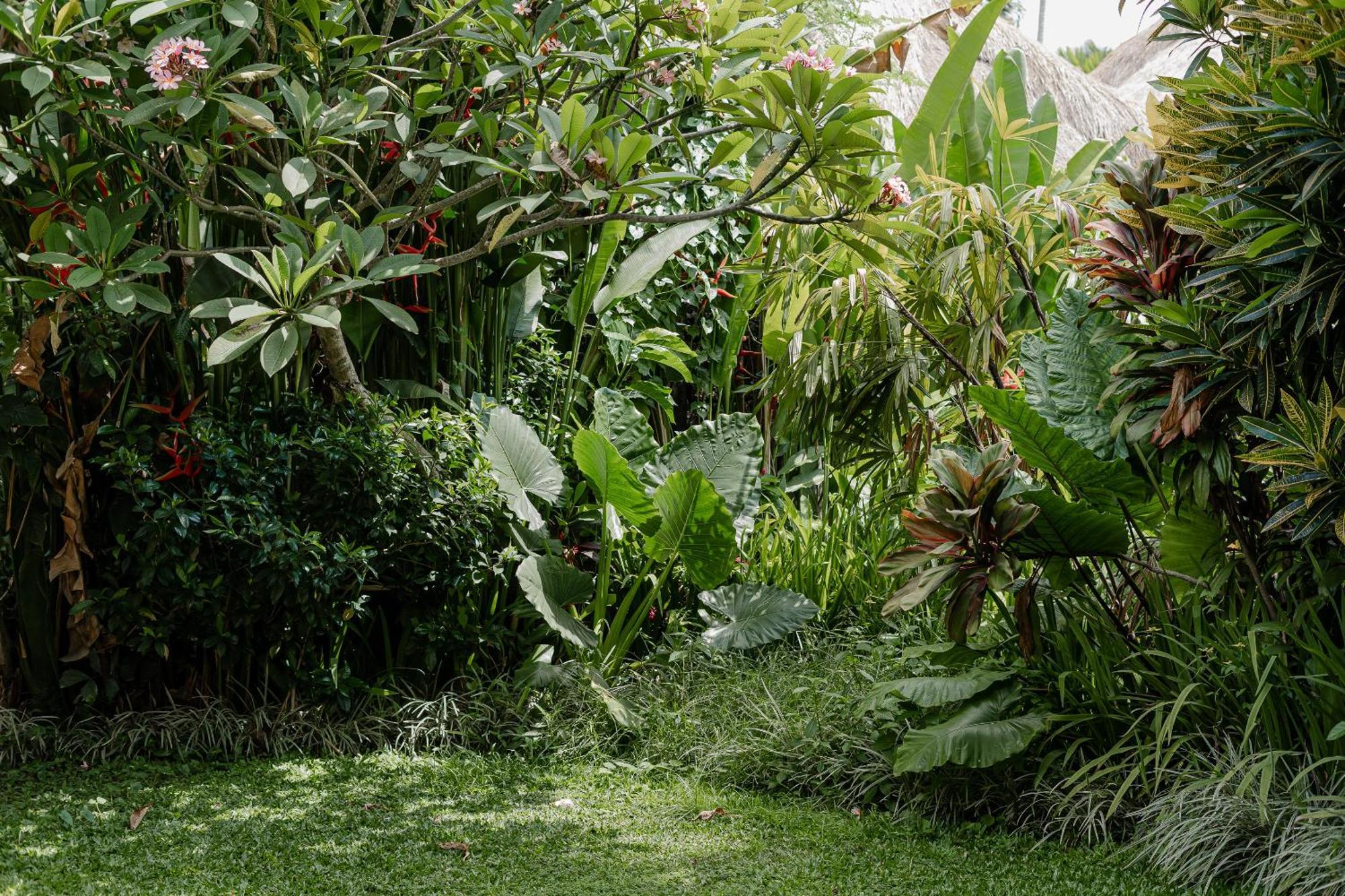Sama'S Cottages And Villas Ubud Exterior foto